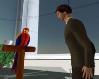 Embodied Conversational Agent and a virtual parrot in Second Life